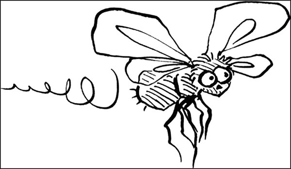 Секрет для пони Секрет для пони