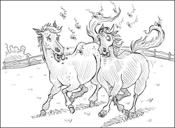 Секрет для пони Секрет для пони