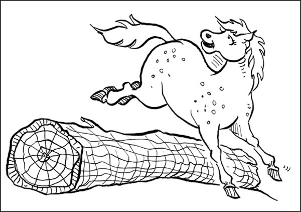 Удивительное спасение Удивительное спасение