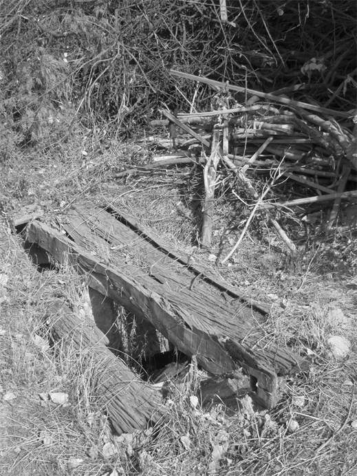 Советский кишлак. Между колониализмом и модернизацией Советский кишлак. Между колониализмом и модернизацией