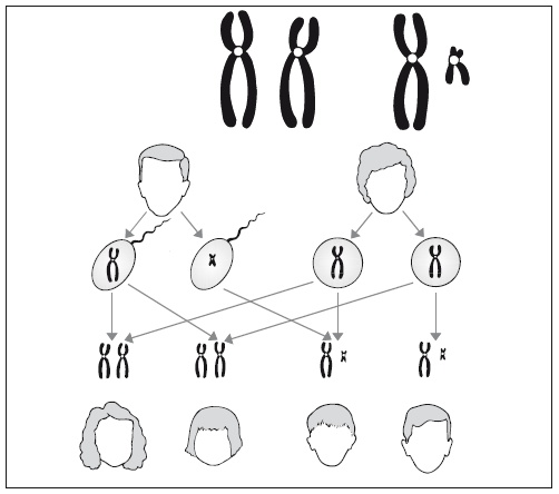 Главная российская книга мамы. Беременность. Роды. Первые годы Главная российская книга мамы. Беременность. Роды. Первые годы