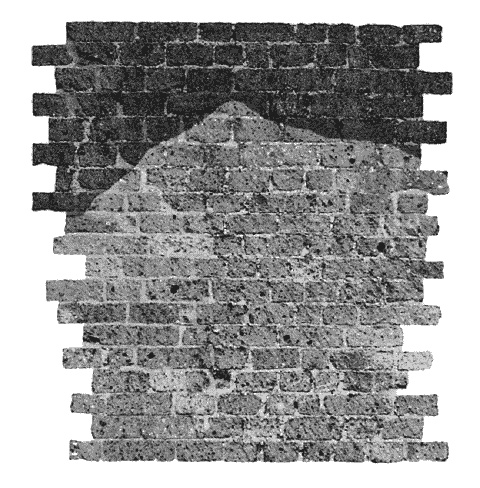 Гнездо гадюки. Код императора Гнездо гадюки. Код императора