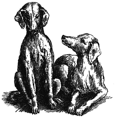 Маскарад Маскарад