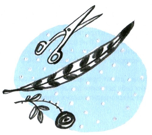 Рассказы про Франца Рассказы про Франца