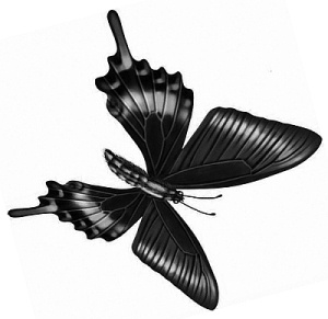 Трансформация. Проявление самости Трансформация. Проявление самости