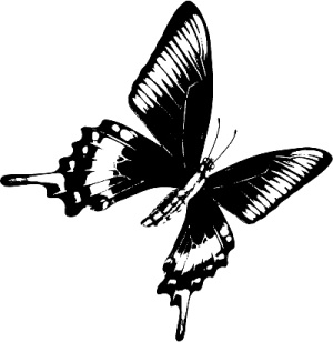 Трансформация. Проявление самости Трансформация. Проявление самости