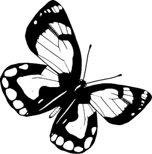 Трансформация. Проявление самости Трансформация. Проявление самости