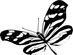 Трансформация. Проявление самости Трансформация. Проявление самости