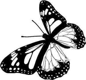 Трансформация. Проявление самости Трансформация. Проявление самости