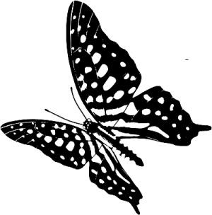 Трансформация. Проявление самости Трансформация. Проявление самости