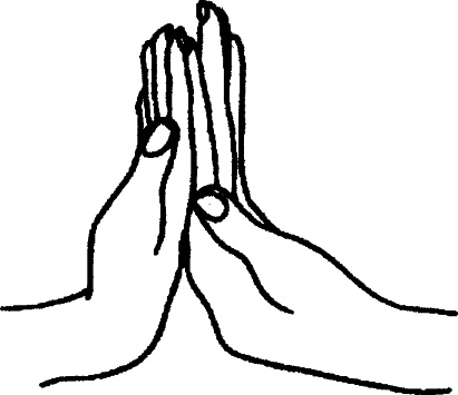 Три грустных тигра