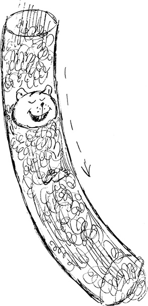 Слонодёмия Слонодёмия