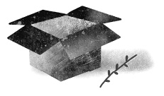 Следы Следы