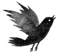 Следы Следы