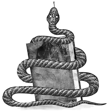 Следы Следы