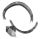 Следы Следы