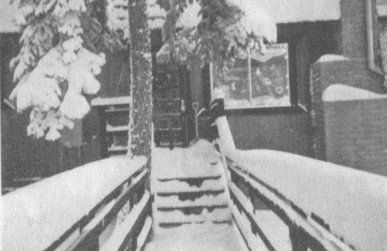 Украденная жизнь Украденная жизнь