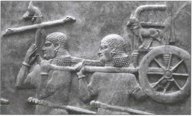 Ассирийская держава. От города-государства - к империи Ассирийская держава. От города-государства - к империи