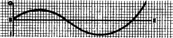 Вербное воскресенье Вербное воскресенье
