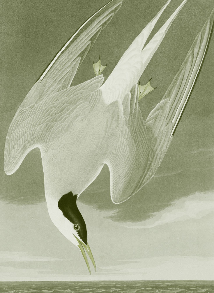 Пока нормально Пока нормально