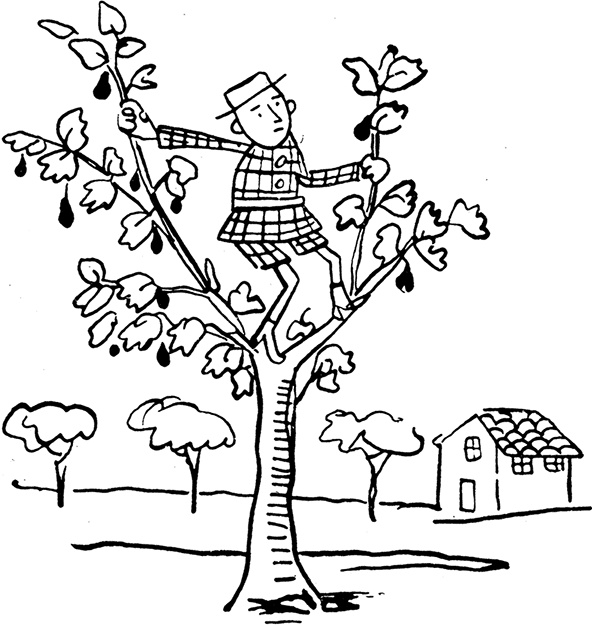 Дневник Джанни Урагани Дневник Джанни Урагани