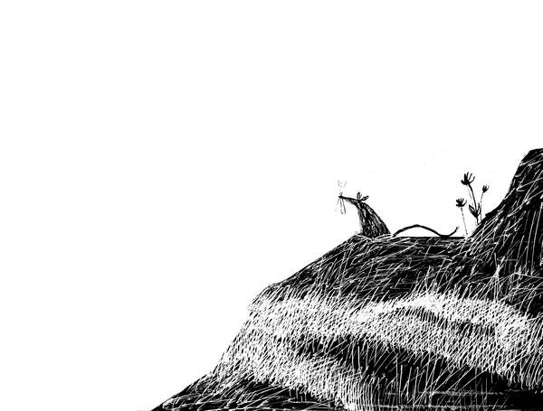 Плащ крысолова Плащ крысолова