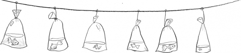Мальчик, который плавал с пираньями Мальчик, который плавал с пираньями