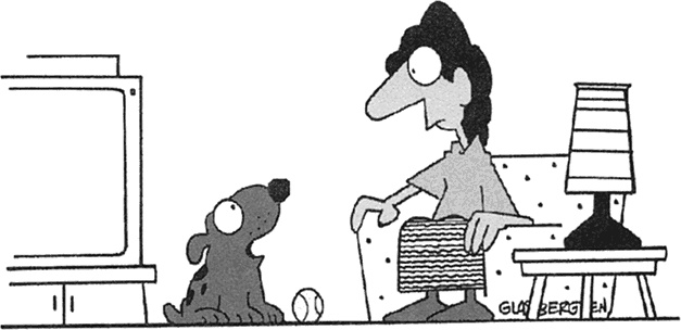 Правила Правила