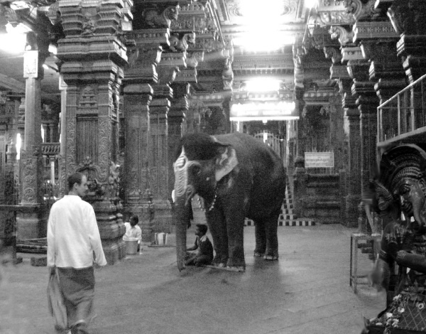 Тайны русских волхвов. Чудеса и загадки языческой Руси Тайны русских волхвов. Чудеса и загадки языческой Руси