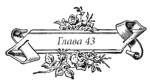 Венецианский контракт Венецианский контракт