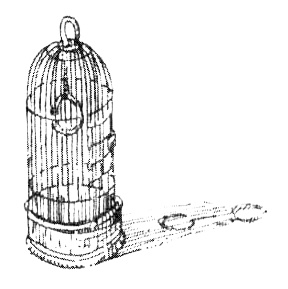 Зоопарк в моей квартире Зоопарк в моей квартире