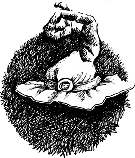 Волшебное наследство. Миры Крестоманси. Книга седьмая Волшебное наследство. Миры Крестоманси. Книга седьмая