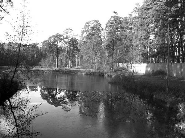 Рублевка и ее обитатели. Романтическое повествование