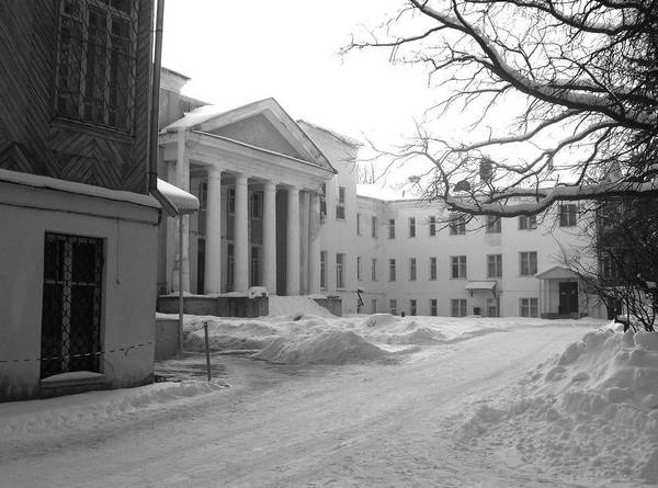 Рублевка и ее обитатели. Романтическое повествование