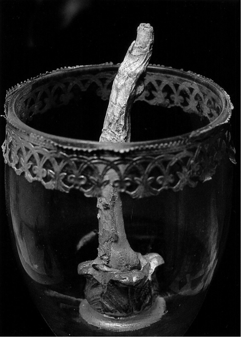 Упрямый Галилей Упрямый Галилей