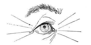 Физиогномика и выражение чувств Физиогномика и выражение чувств