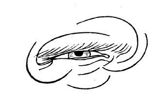 Физиогномика и выражение чувств Физиогномика и выражение чувств