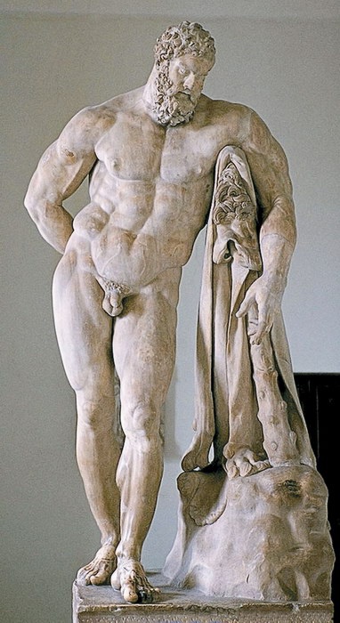 Жизнь Микеланджело Жизнь Микеланджело