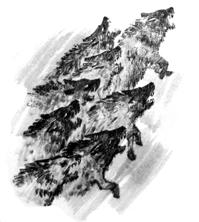 Курячий бог Курячий бог