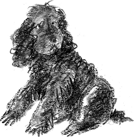 Приключения Джерика Приключения Джерика