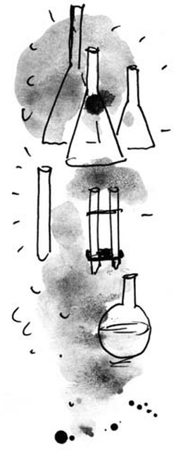 Скажи, Лиса! Скажи, Лиса!