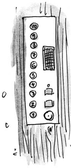 Скажи, Лиса! Скажи, Лиса!