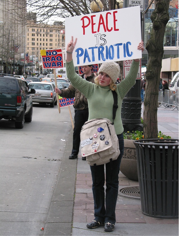 Как ненасилие защищает государство Как ненасилие защищает государство