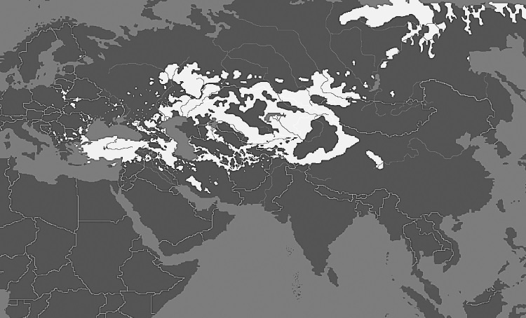 История тюрков История тюрков