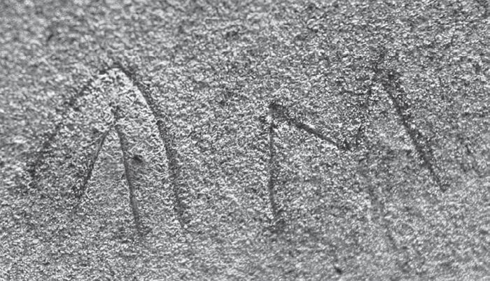 Великая степь. Приношение тюрка