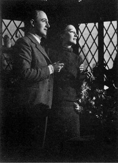 Медовый месяц в улье Медовый месяц в улье