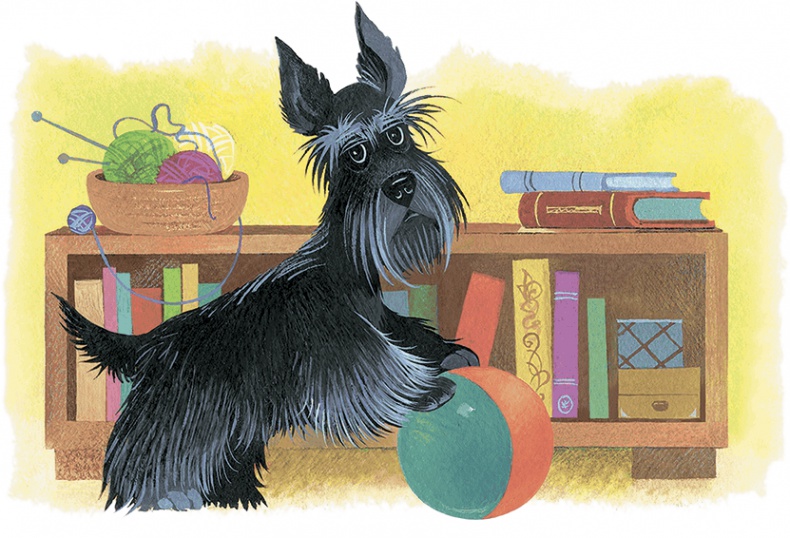 Храбрый Тилли и другие истории Храбрый Тилли и другие истории