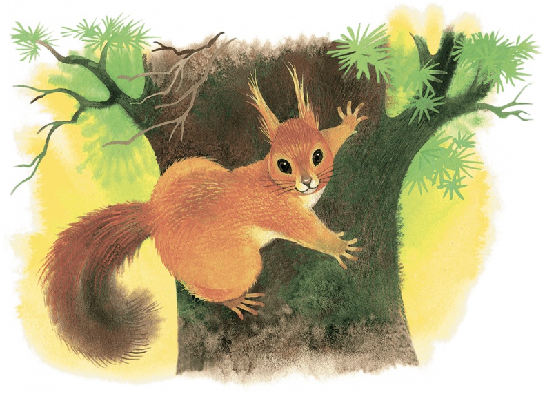 Храбрый Тилли и другие истории Храбрый Тилли и другие истории