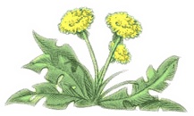 Сказки Изумрудного Леса Сказки Изумрудного Леса