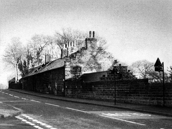 Робин Гуд Робин Гуд